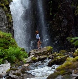 Meet your Posher, Rosie